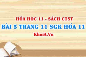 Bài 5 trang 11 SGK Hóa 11 Chân trời sáng tạo